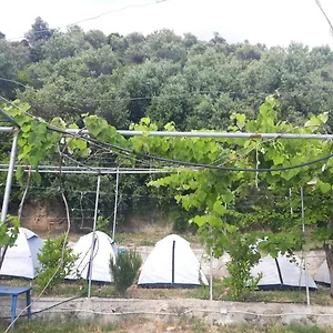 camping-jungle-in-borsh.albaniahotels.org/